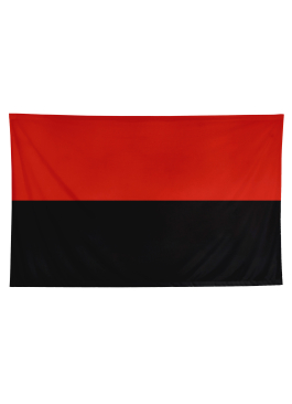 Прапор УПА